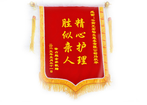 2015年精心护理 胜似亲人锦旗
